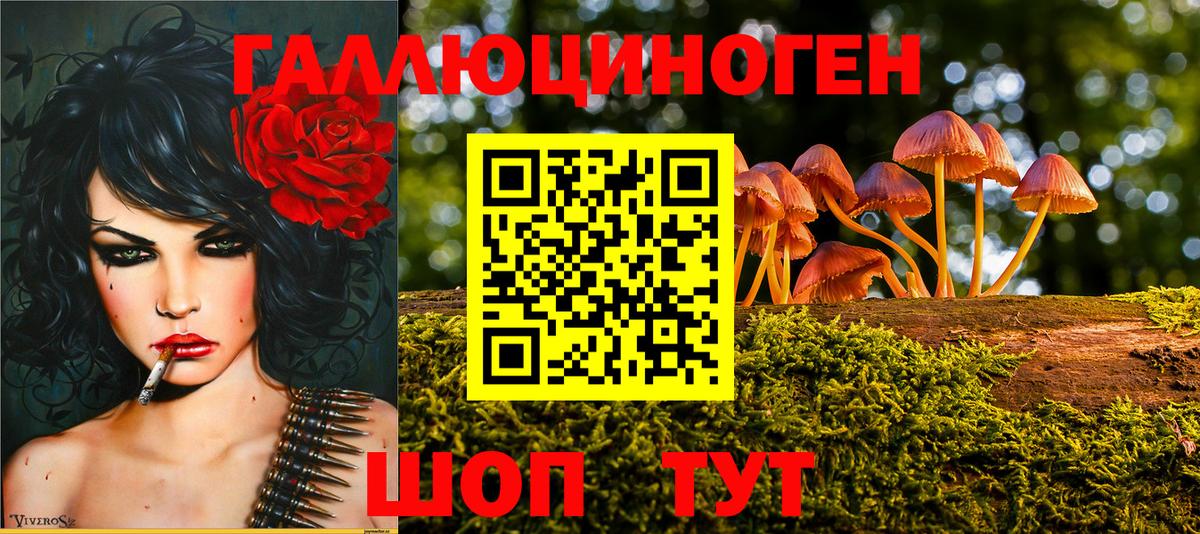 Галлюциногенные грибы мицелий  Вход с VPN  Минусинск 
